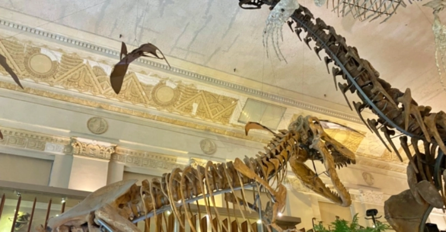 國立台灣博物館 國立台灣博物館