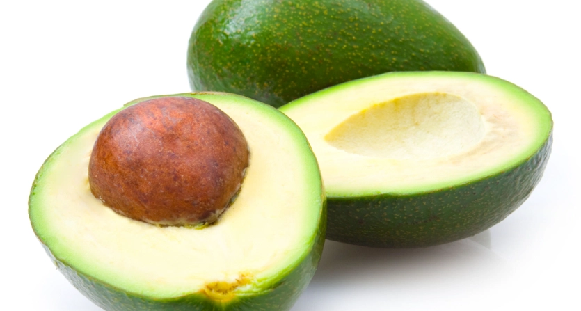 墨西哥牛油果 有毒