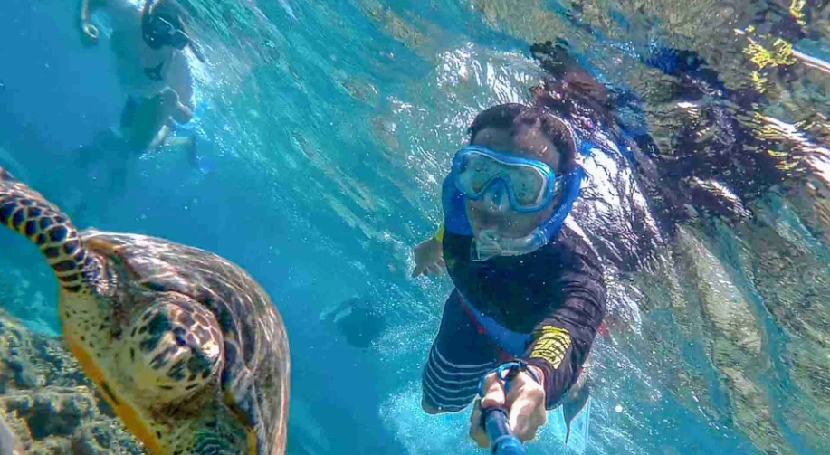 馬爾地夫浮潛攻略