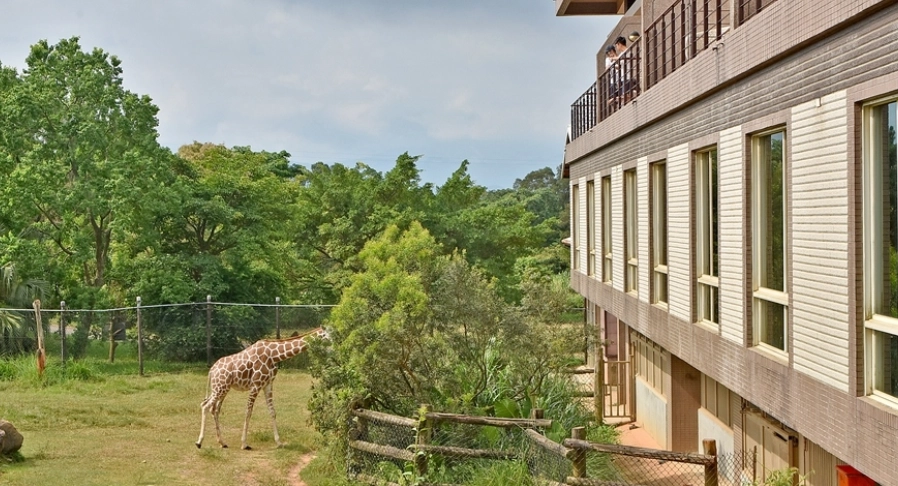 六福村住宿體驗 六福村住宿體驗
