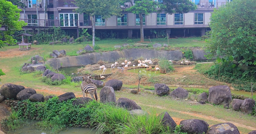 六福村關西六福莊 六福村關西六福莊