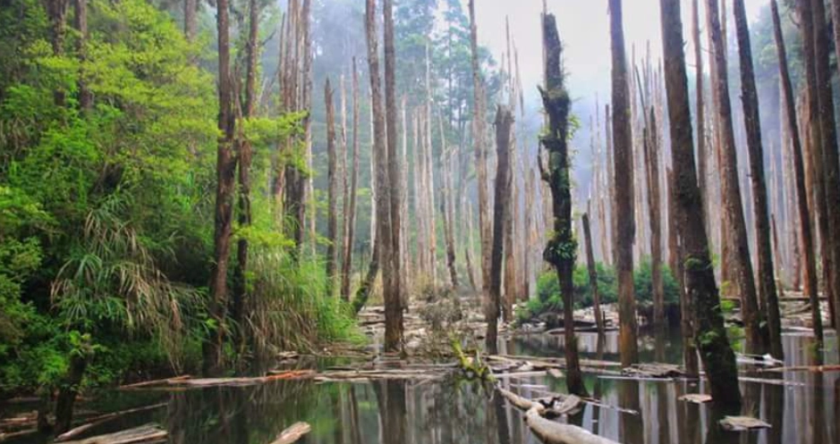 南投秘境 南投秘境