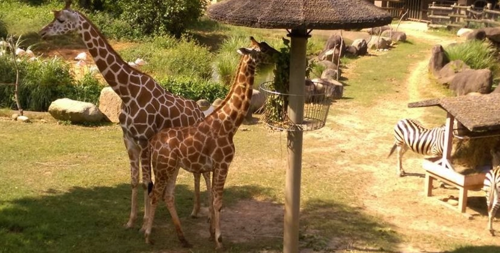 六福莊住宿 六福莊住宿