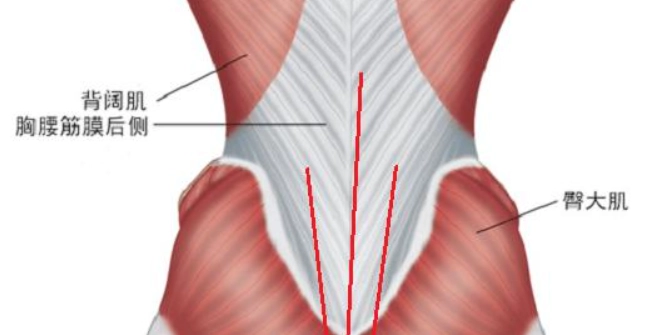 背闊肌疼痛 治療