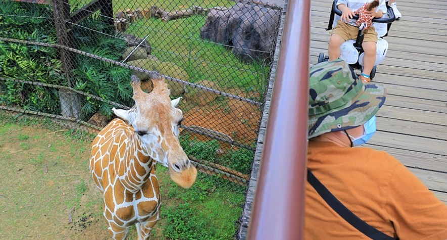 六福莊住宿 六福莊住宿