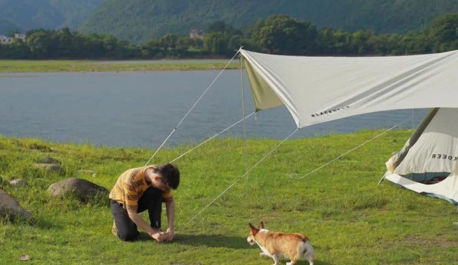 寵物露營車出租