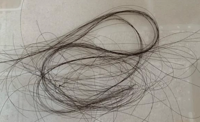 預防洗澡掉髮 預防洗澡掉髮