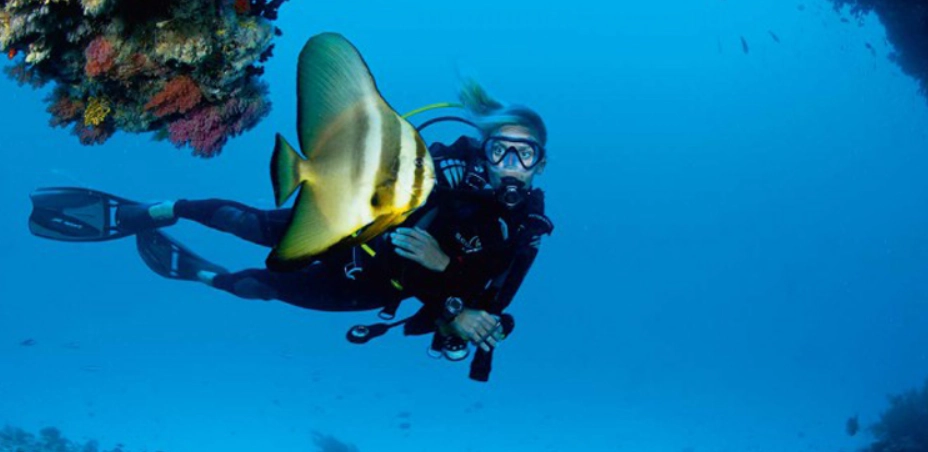 馬爾地夫潛水費用 馬爾地夫潛水費用