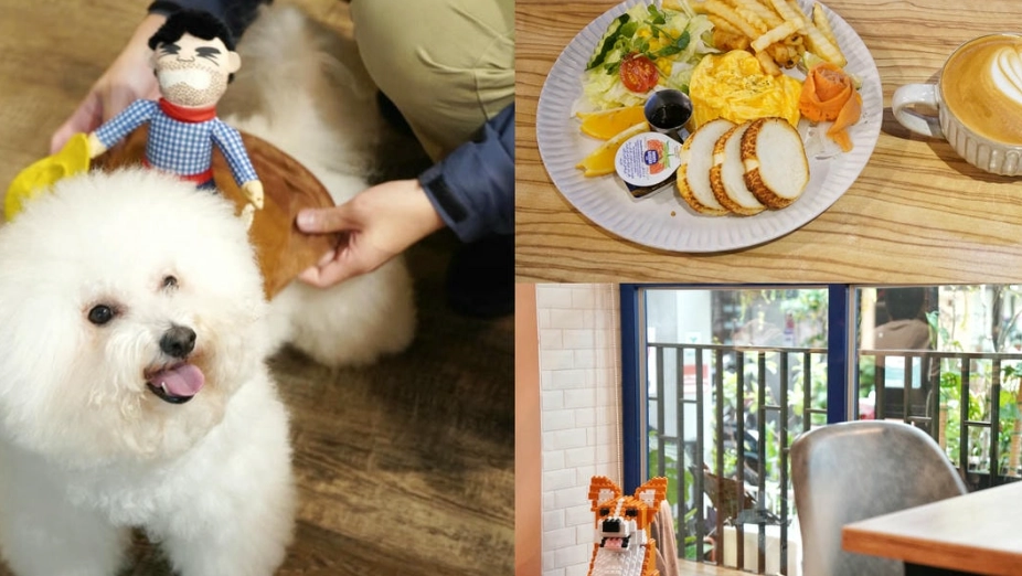 帶寵物旅遊宜蘭