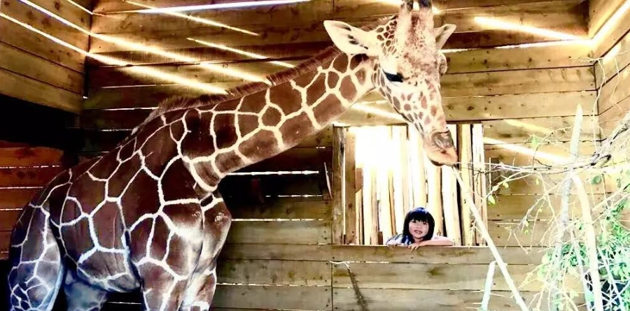 六福莊住宿 六福莊住宿