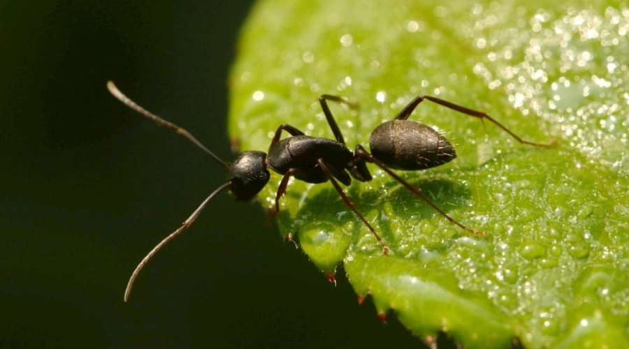 新車保養 新車保養