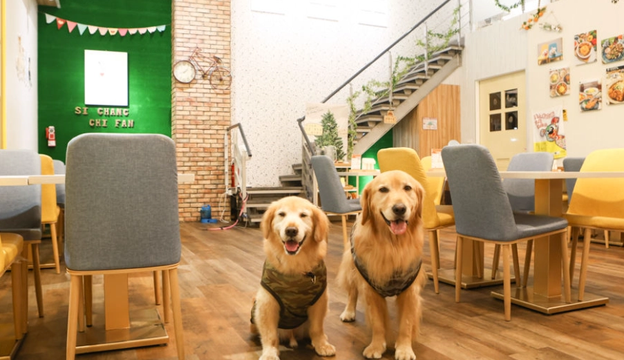 帶寵物旅遊宜蘭