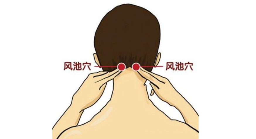 頭皮穴道位置 頭皮穴道位置