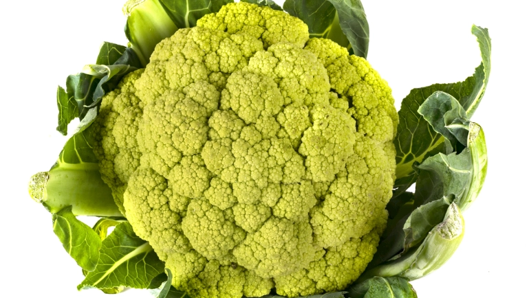 綠花椰菜變黃 綠花椰菜變黃