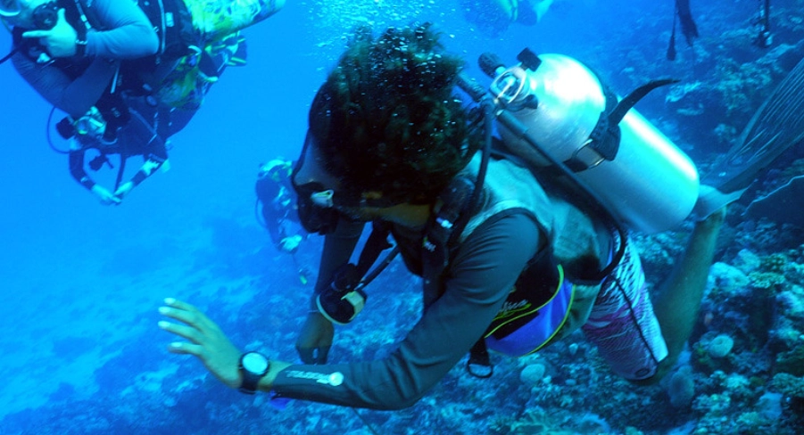 馬爾地夫潛水費用 馬爾地夫潛水費用
