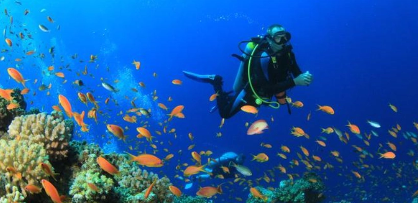 馬爾地夫潛水季節 馬爾地夫潛水季節